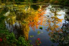 Christine LE GUYADEC - Christine LE GUYADEC